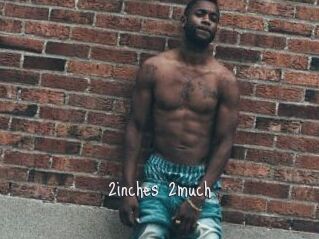 2inches_2much