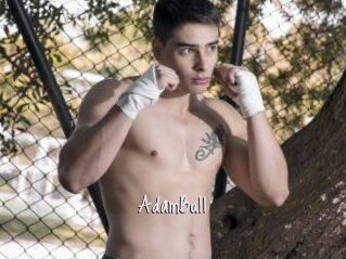 AdamBull