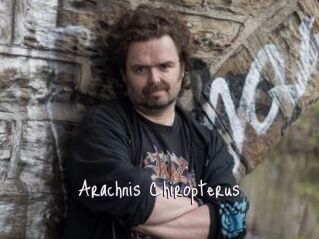 Arachnis_Chiropterus
