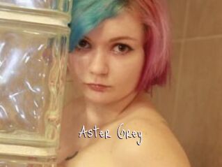 Aster_Grey