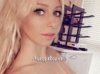 Aurora_Borealis