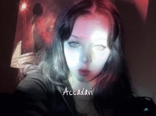 Accadavi