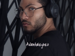 Adamhairybro