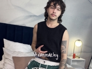 Adammarley