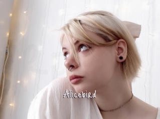 Alicebird