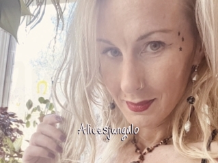 Alicesjungalo