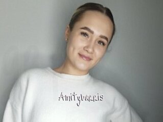 Amitybarris