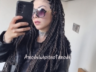 Amodelwhoisnotamodel