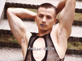 Andrew_falcon