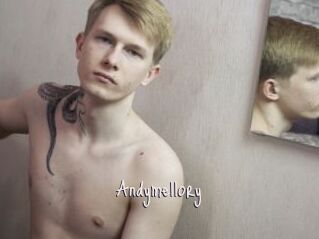 Andymellory