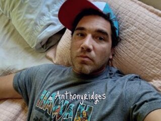 Anthonyridges