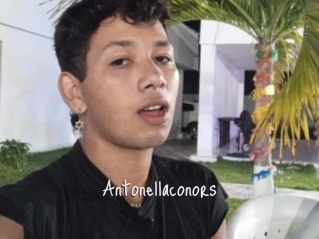 Antonellaconors
