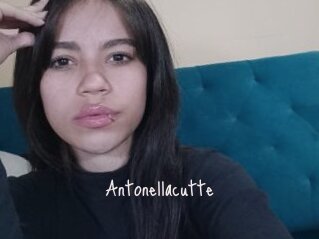 Antonellacutte