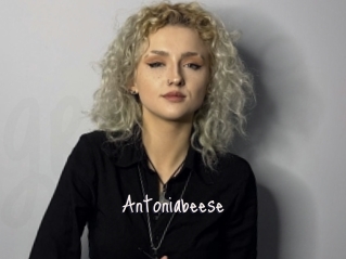 Antoniabeese