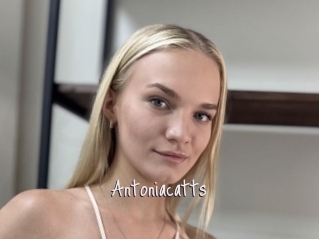 Antoniacatts