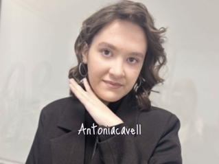 Antoniacavell