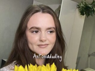 Antoniadudley