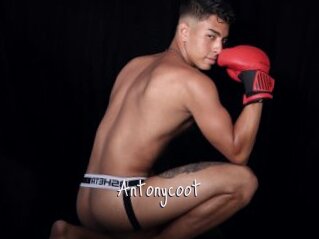 Antonycoot