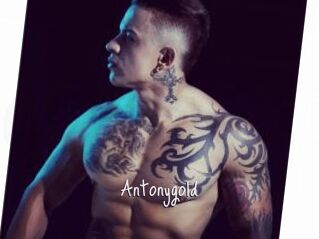Antonygold