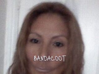 BANDACOOT