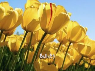BelleB3