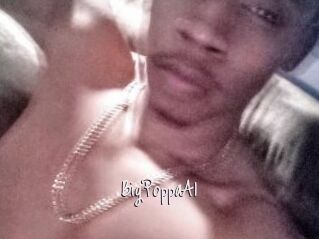 BigPoppaA1