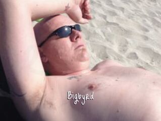 Bigbyrd