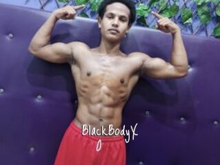 BlackBodyX