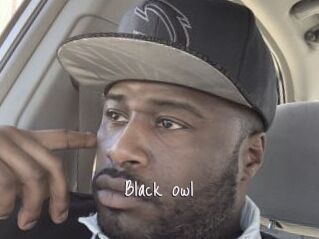 Black_owl