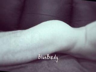 BlueBirdy