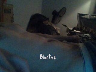 Blunter