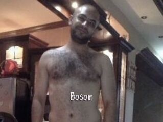 Bosom