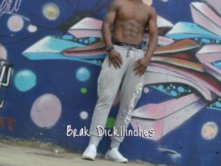 Brak_Dick11inches