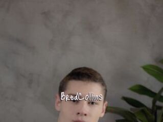 BredCollins