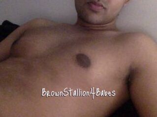 BrownStallion4Babes