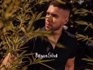 BruceSilva