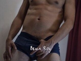 Bruce_Roy