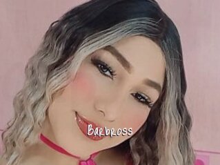 Barbross