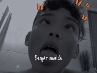 Benjaminwilde