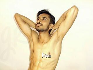Bibin