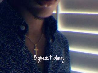 Bigbeastjohnny