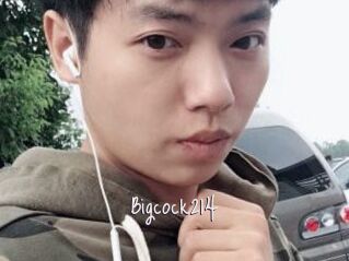 Bigcock214