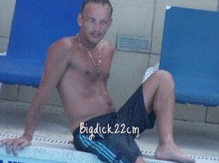 Bigdick22cm
