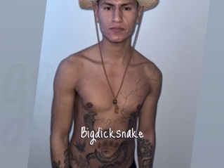 Bigdicksnake