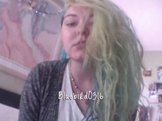 Bluebird0316