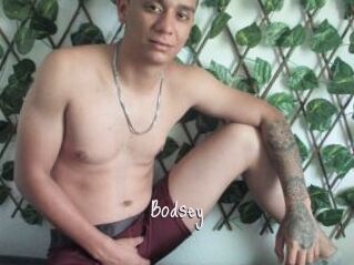 Bodsey