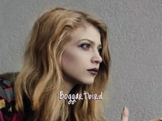Boggartbird