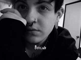 Boicub