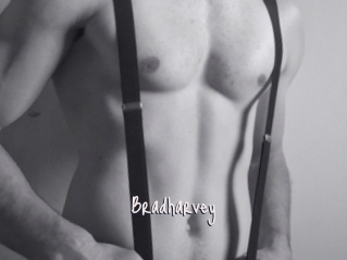 Bradharvey