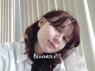 Breebaskett